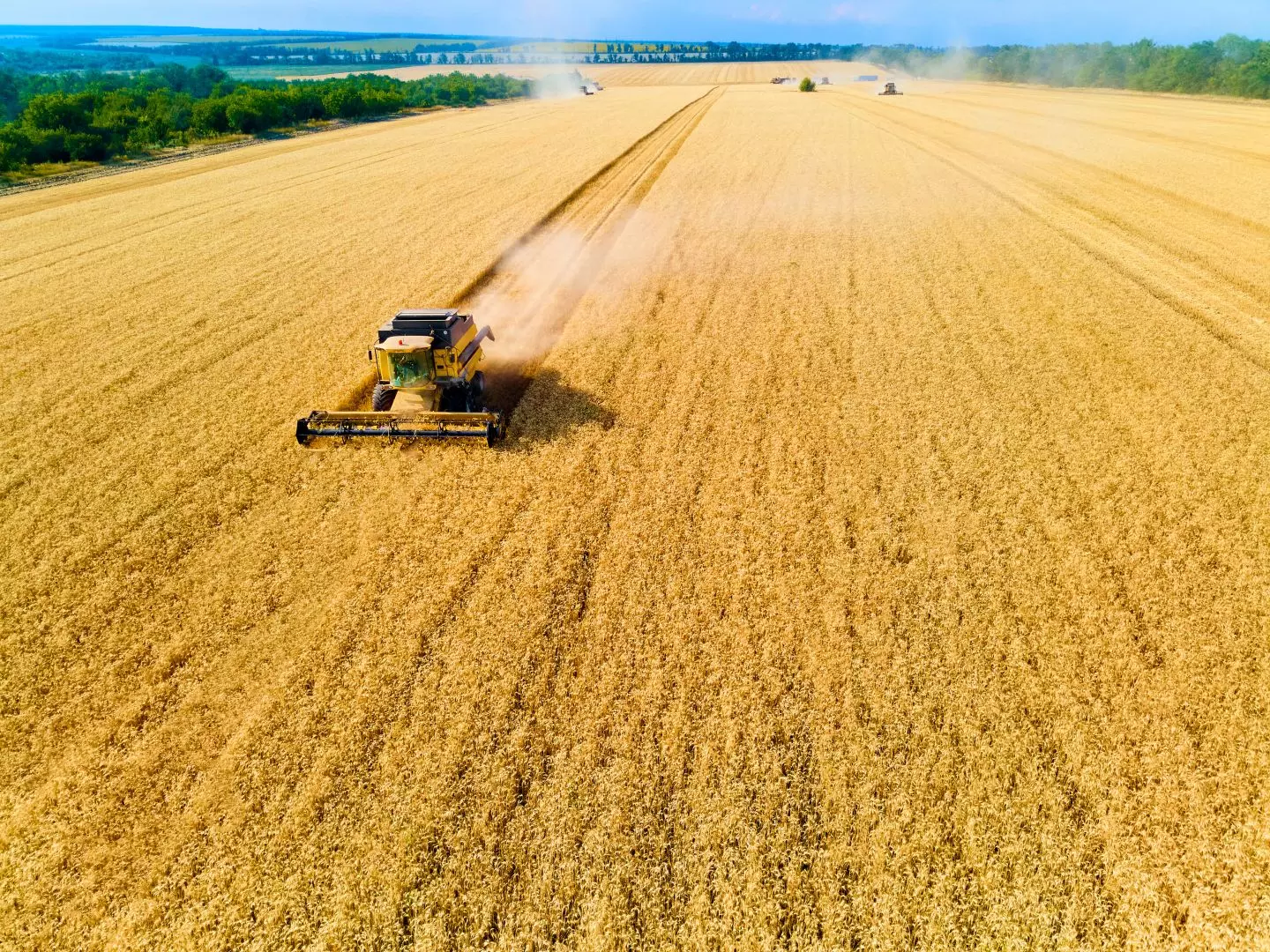 What Applications Can Agricultural Roller Shutters Be Applied To?